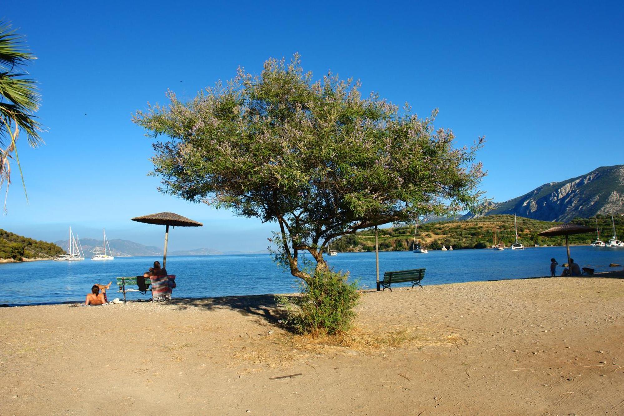 Verdelis Inn Epidaurus Bagian luar foto